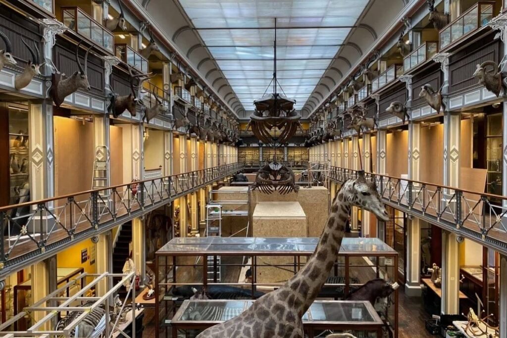 Museum of Natural History Dublin